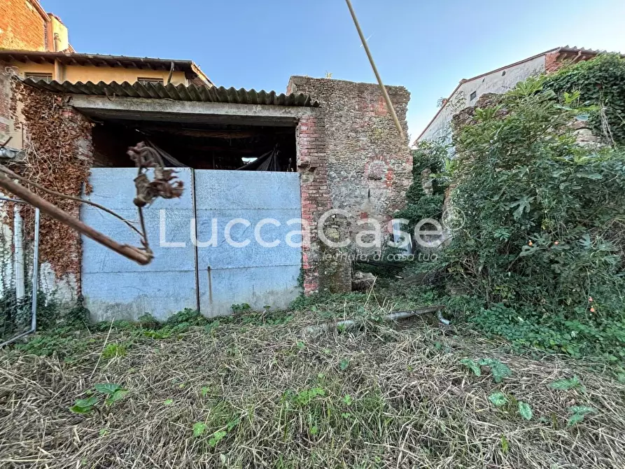 Immagine 8 di Terratetto in vendita  a Capannori