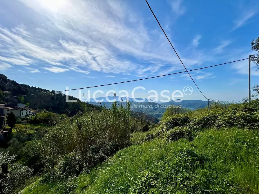 Immagine 30 di Casa indipendente in vendita  a Camaiore