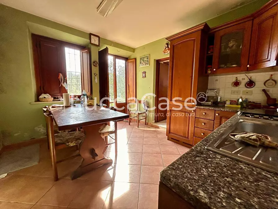 Immagine 18 di Casa indipendente in vendita  a Camaiore