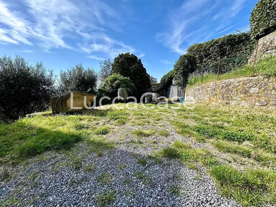 Immagine 6 di Casa indipendente in vendita  a Camaiore