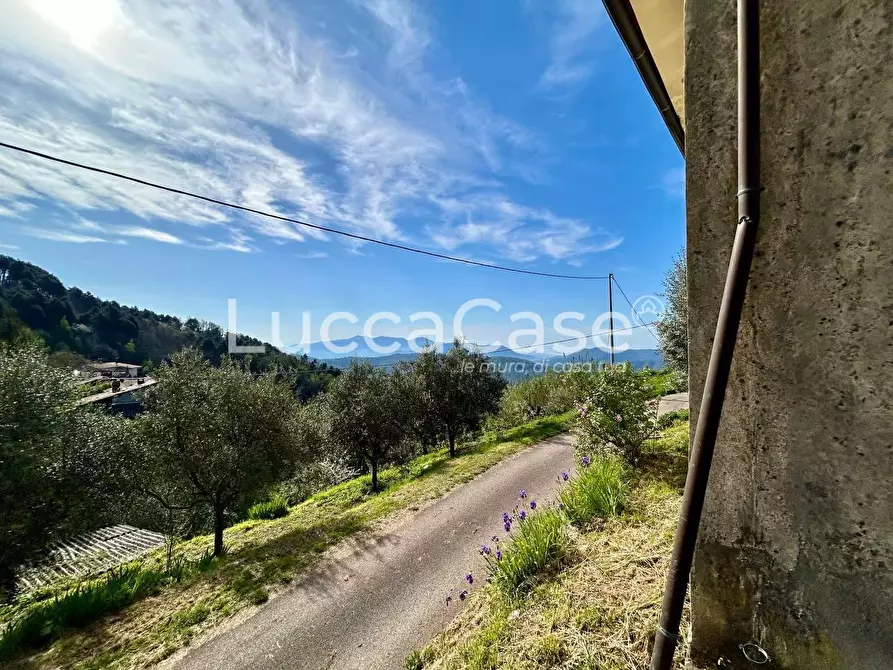 Immagine 40 di Casa indipendente in vendita  a Camaiore