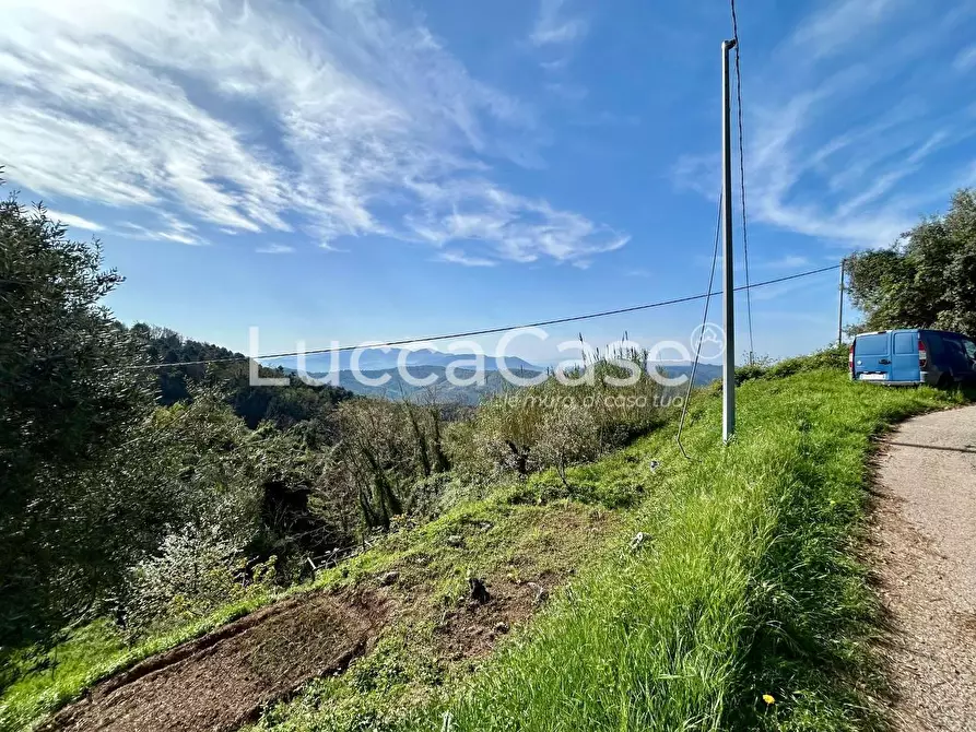 Immagine 9 di Casa indipendente in vendita  a Camaiore