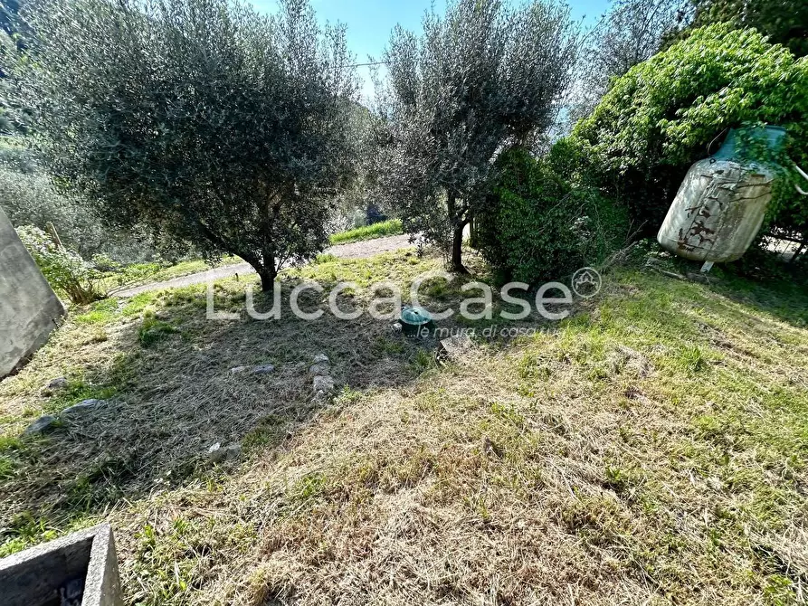 Immagine 29 di Casa indipendente in vendita  a Camaiore