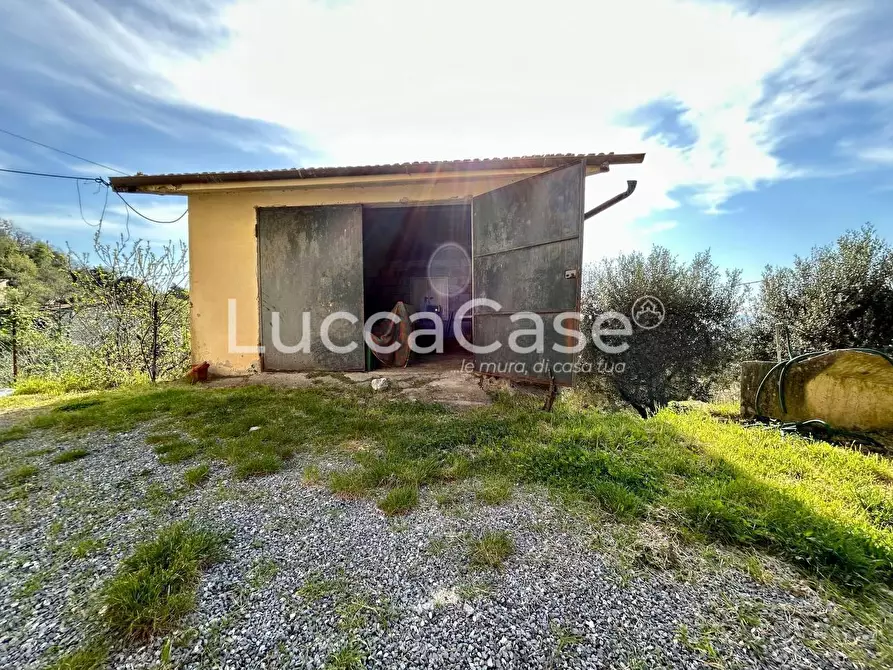 Immagine 13 di Casa indipendente in vendita  a Camaiore