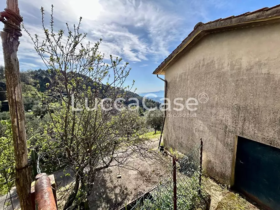 Immagine 7 di Casa indipendente in vendita  a Camaiore