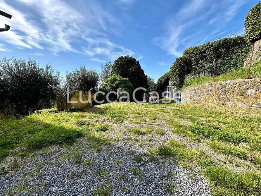 Immagine 42 di Casa indipendente in vendita  a Camaiore