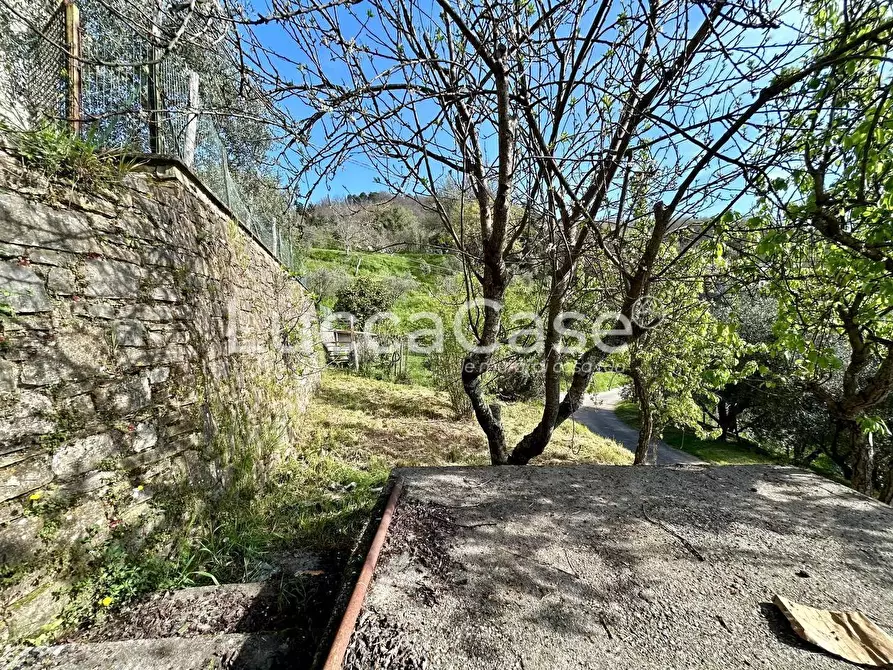 Immagine 41 di Casa indipendente in vendita  a Camaiore