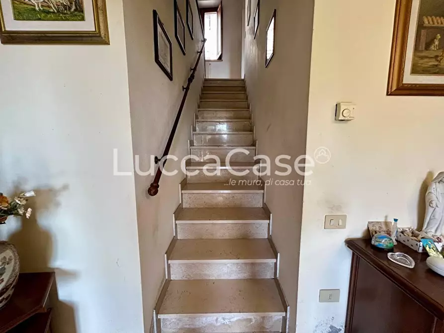 Immagine 21 di Casa indipendente in vendita  a Camaiore