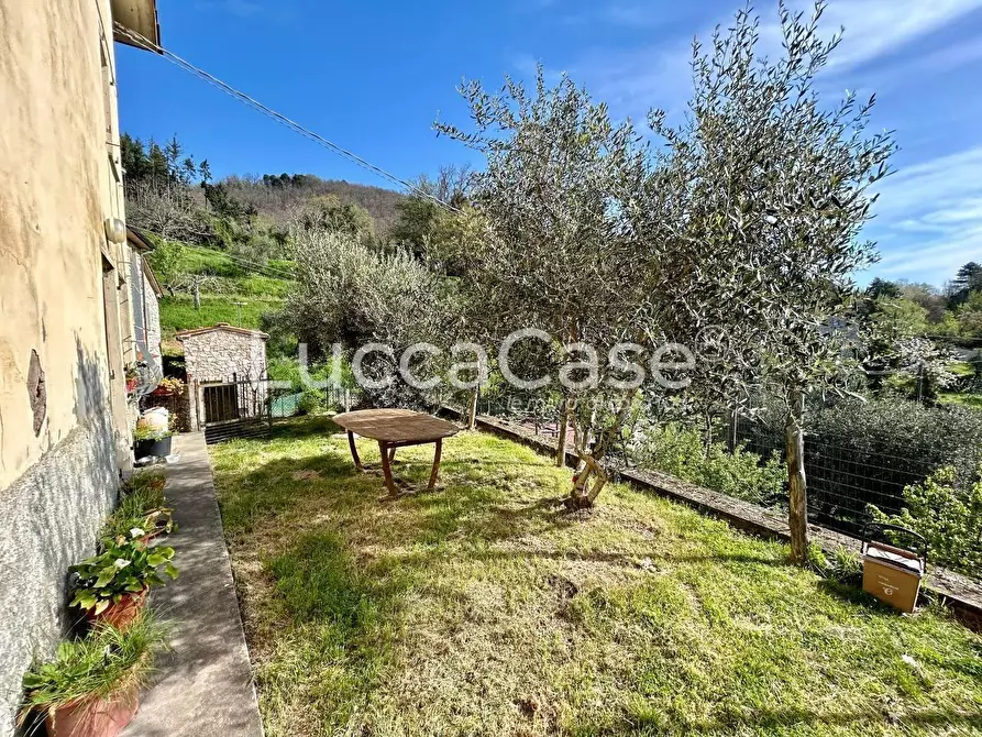 Immagine 3 di Casa indipendente in vendita  a Camaiore