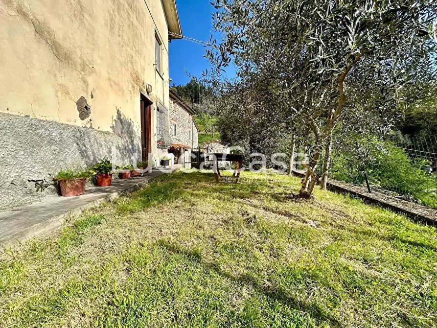 Immagine 5 di Casa indipendente in vendita  a Camaiore
