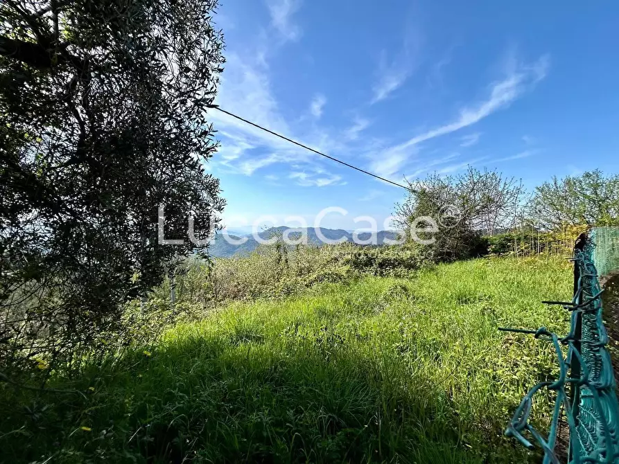 Immagine 28 di Casa indipendente in vendita  a Camaiore