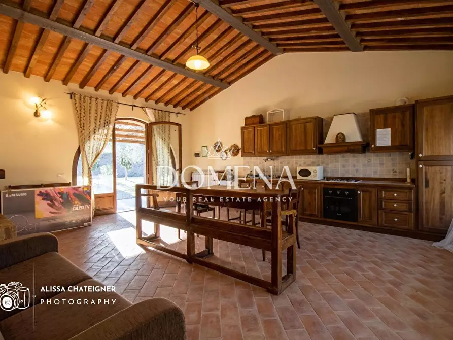 Immagine 24 di Casa colonica in vendita  a Asciano