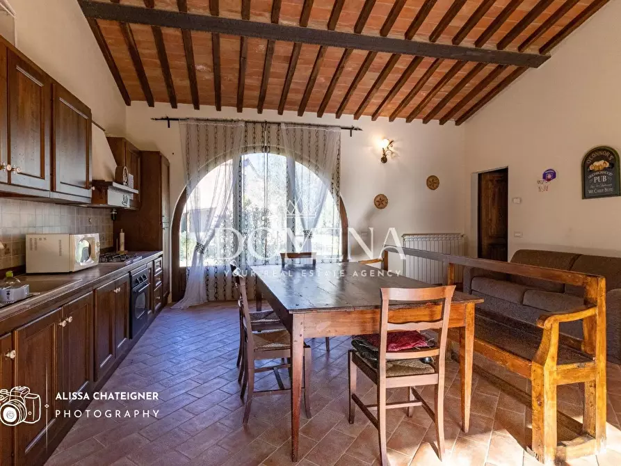 Immagine 21 di Casa colonica in vendita  a Asciano