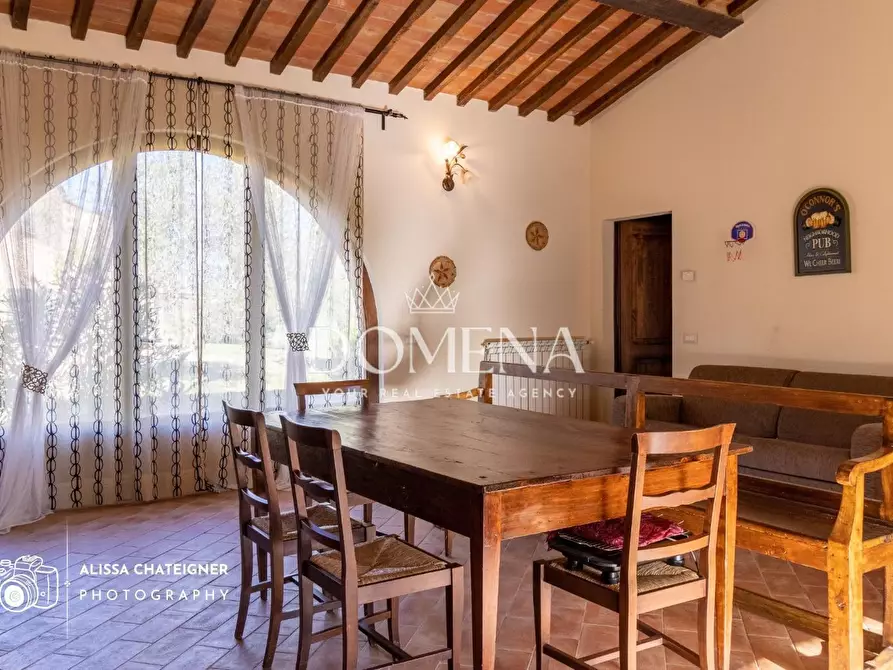 Immagine 23 di Casa colonica in vendita  a Asciano