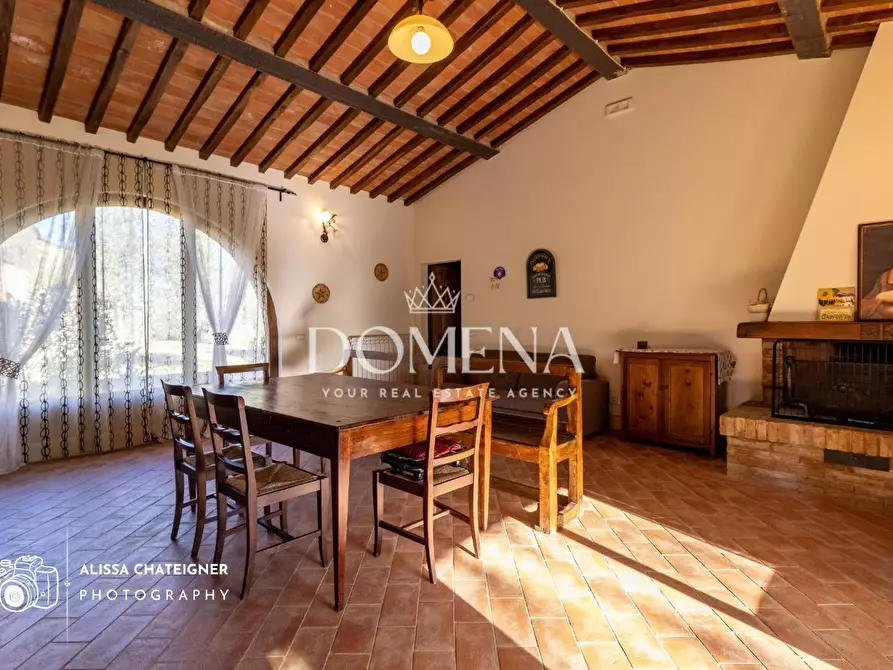 Immagine 22 di Casa colonica in vendita  a Asciano