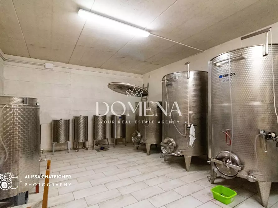 Immagine 29 di Casa colonica in vendita  a Asciano