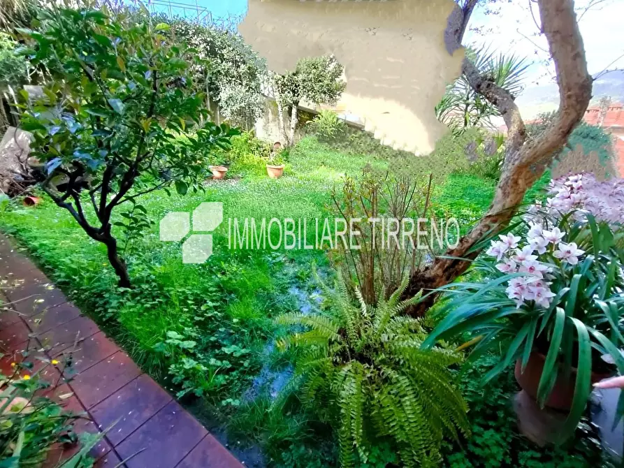 Immagine 2 di Appartamento in vendita  a Massa