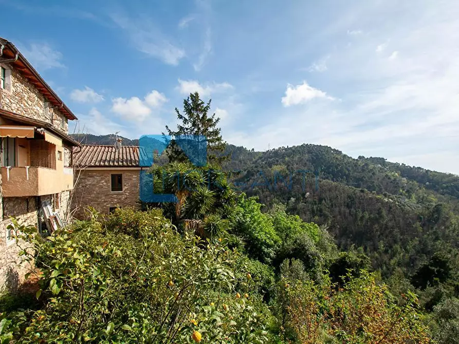 Immagine 4 di Casa semindipendente in vendita  a Pietrasanta
