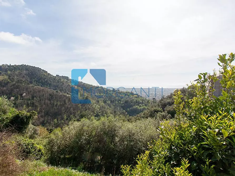 Immagine 5 di Casa semindipendente in vendita  a Pietrasanta