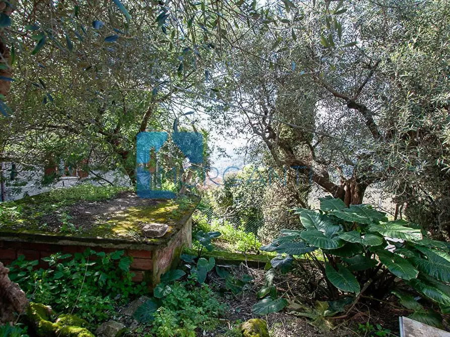 Immagine 16 di Casa semindipendente in vendita  a Pietrasanta
