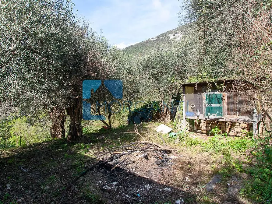 Immagine 18 di Casa semindipendente in vendita  a Pietrasanta