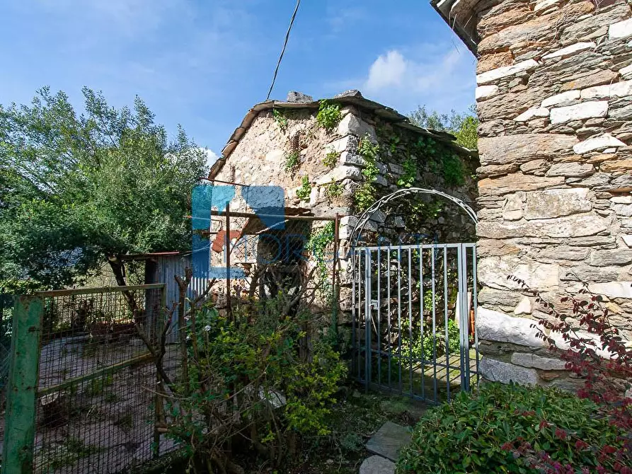 Immagine 15 di Casa semindipendente in vendita  a Pietrasanta