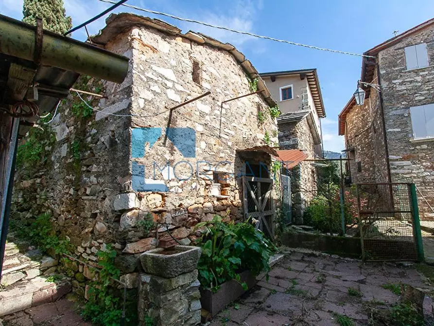 Immagine 19 di Casa semindipendente in vendita  a Pietrasanta