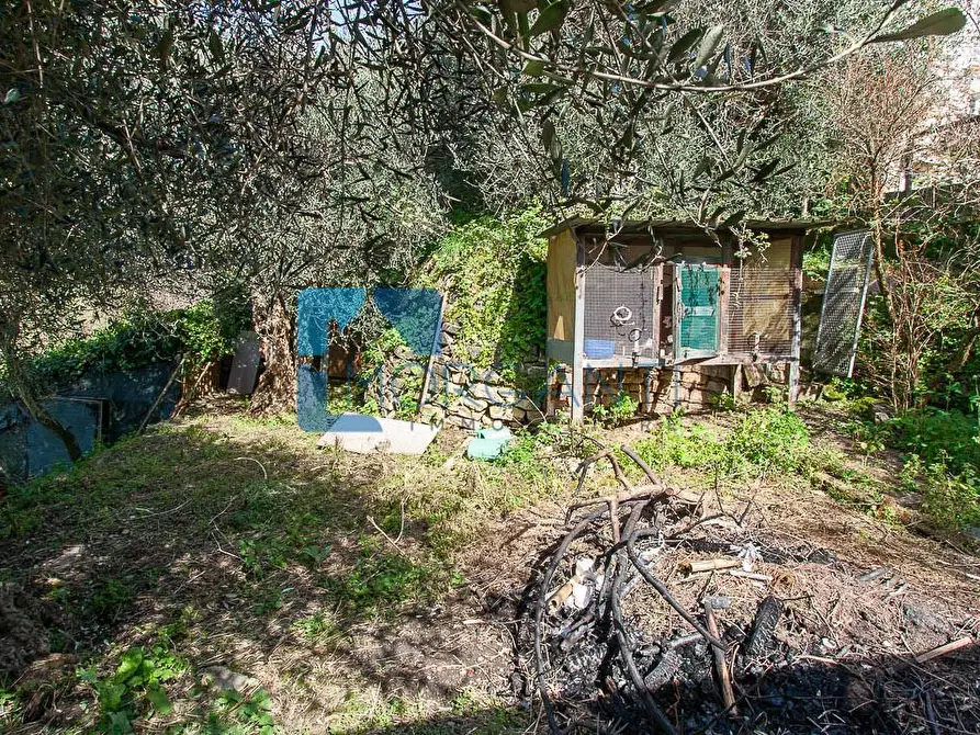 Immagine 14 di Casa semindipendente in vendita  a Pietrasanta