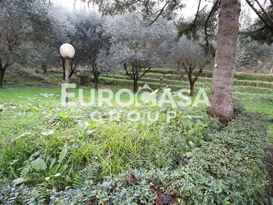 Immagine 4 di Villa in vendita  a Lucca