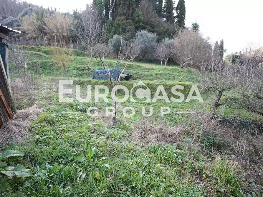 Immagine 3 di Villa in vendita  a Lucca