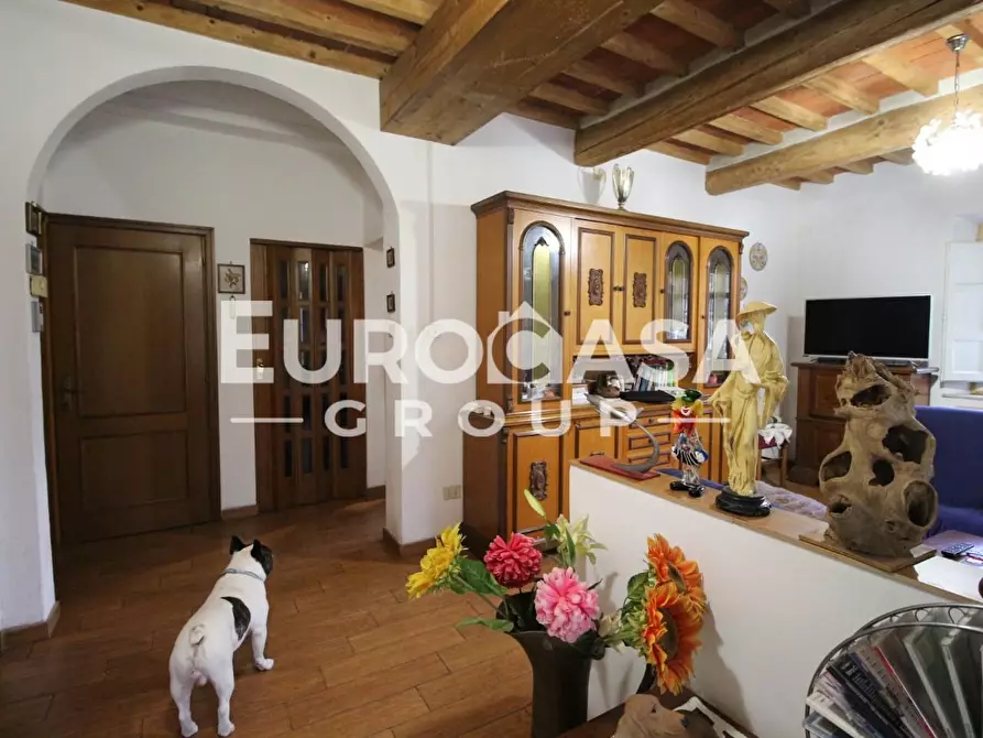 Immagine 42 di Villa in vendita  a Lucca