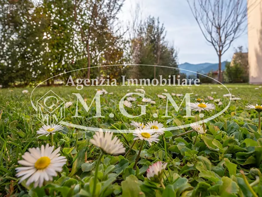 Immagine 5 di Villetta a schiera in vendita  a Bientina