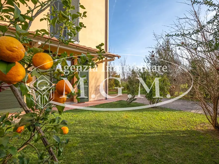 Immagine 14 di Villetta a schiera in vendita  a Bientina