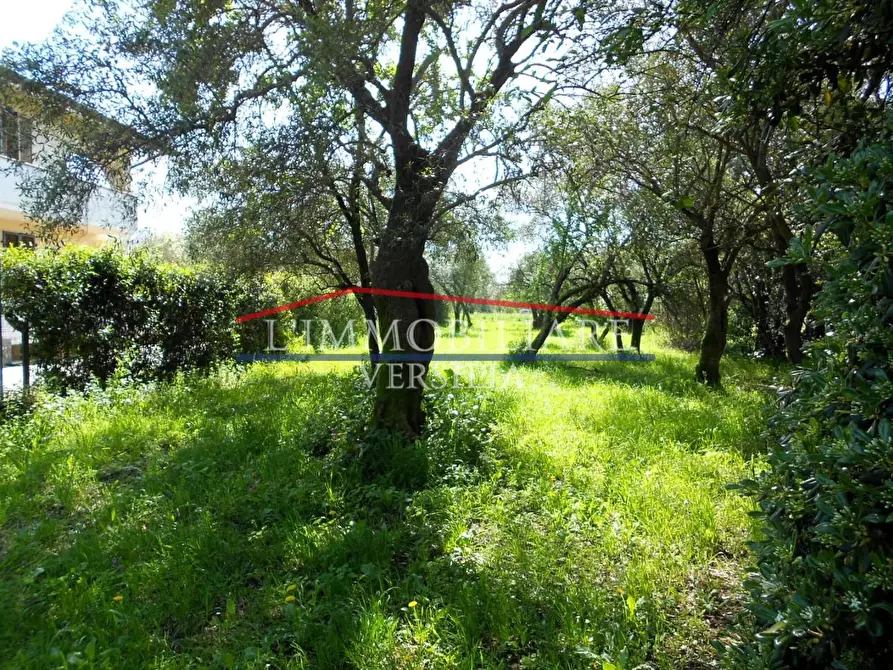 Immagine 40 di Casa semindipendente in vendita  a Massa