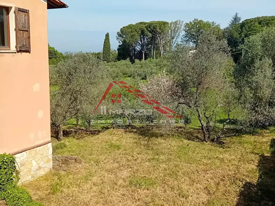 Immagine 16 di Villa in vendita  a Casciana Terme Lari