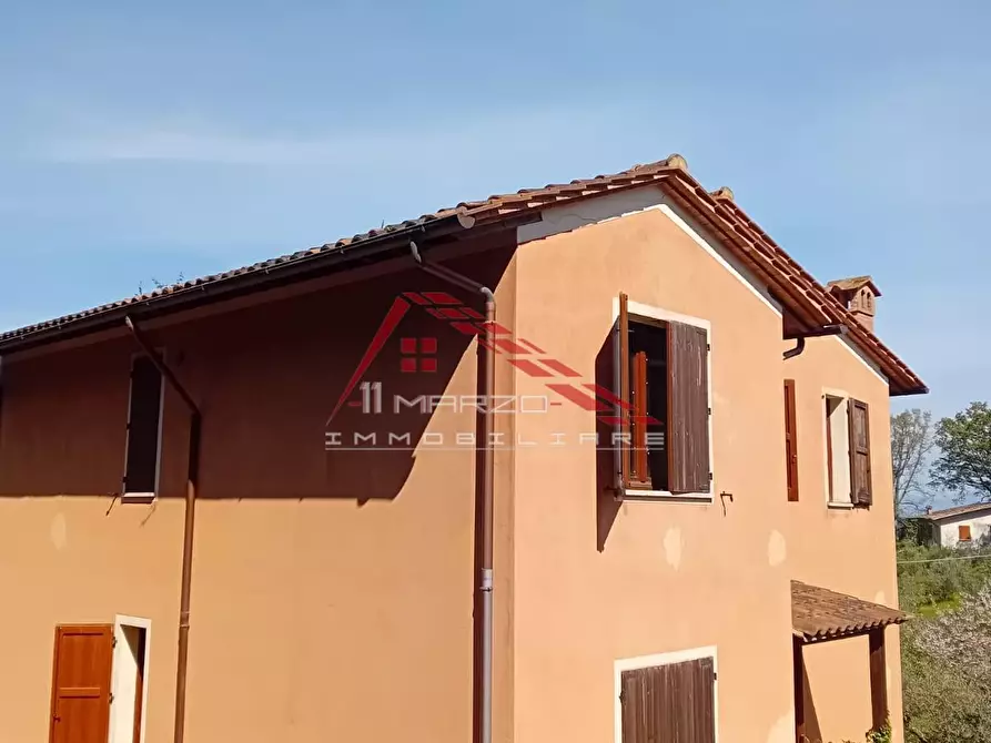 Immagine 4 di Villa in vendita  a Casciana Terme Lari