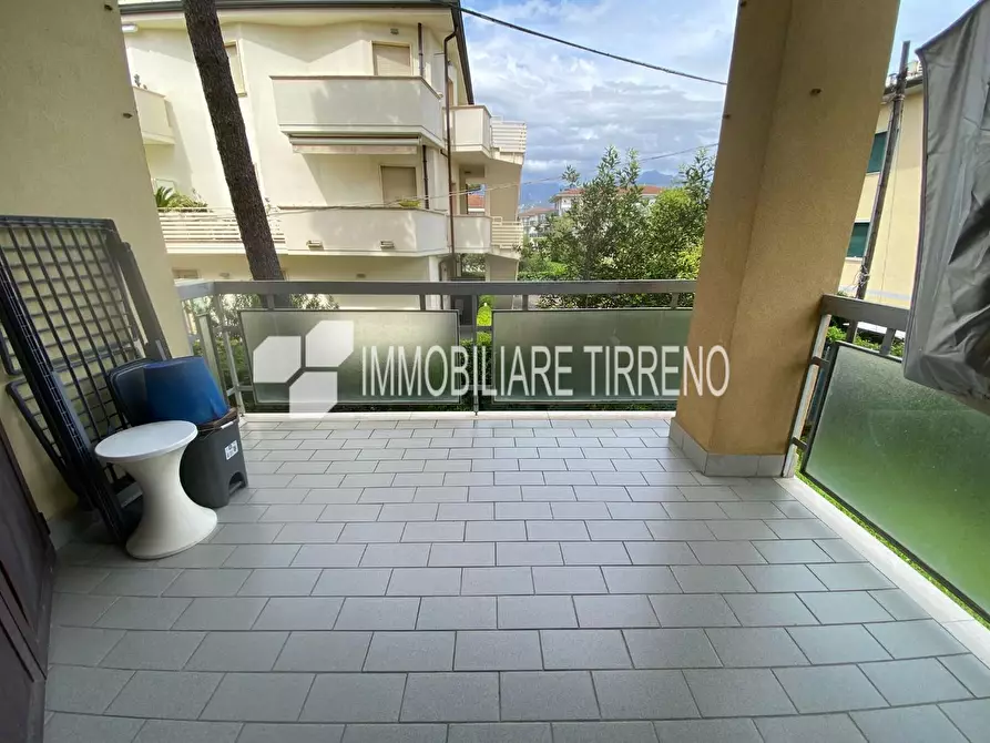 Immagine 21 di Appartamento in affitto  a Massa