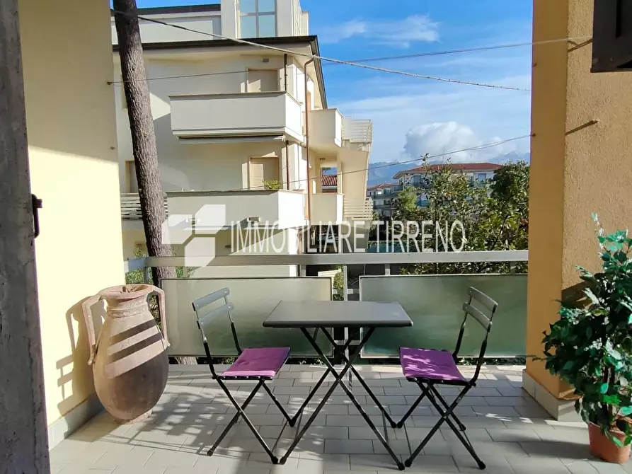 Immagine 9 di Appartamento in affitto  a Massa