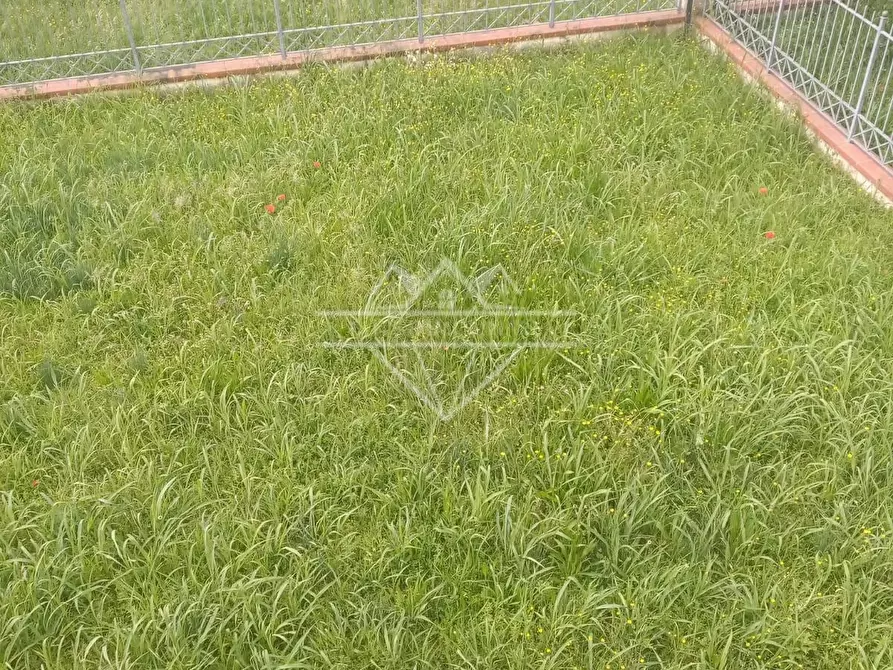 Immagine 25 di Villetta a schiera in vendita  a Carrara