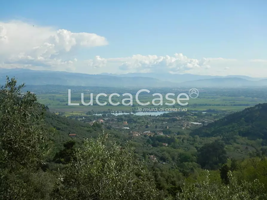 Immagine 1 di Terreno agricolo in vendita  a Capannori