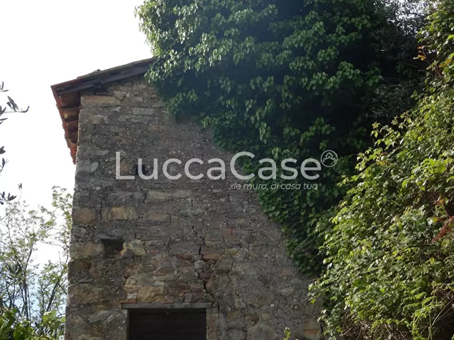 Immagine 9 di Terreno agricolo in vendita  a Capannori