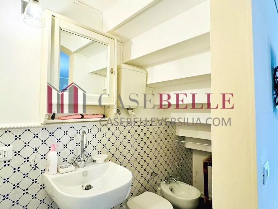 Immagine 11 di Casa semindipendente in affitto  a Forte Dei Marmi