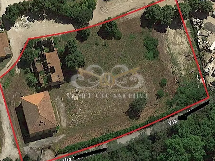 Immagine 1 di Rustico / casale in vendita  a Vecchiano