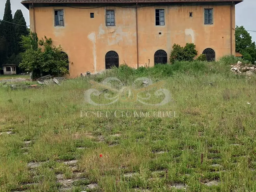 Immagine 6 di Rustico / casale in vendita  a Vecchiano