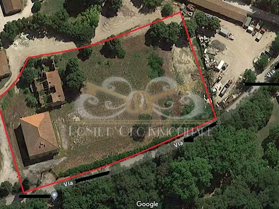 Immagine 2 di Rustico / casale in vendita  a Vecchiano