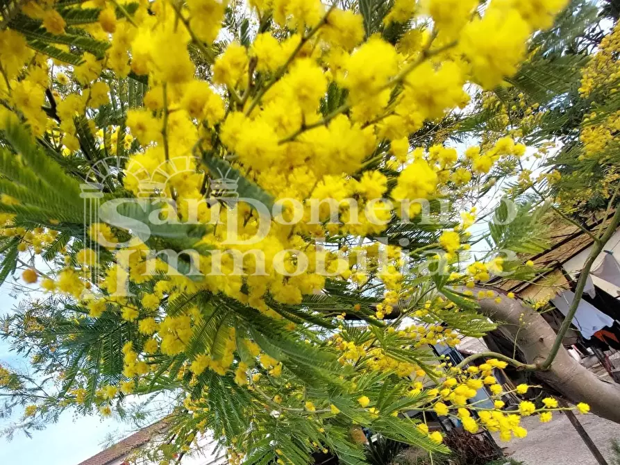 Immagine 31 di Terratetto in vendita  a Cascina