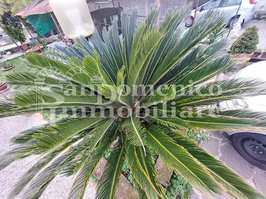 Immagine 32 di Terratetto in vendita  a Cascina