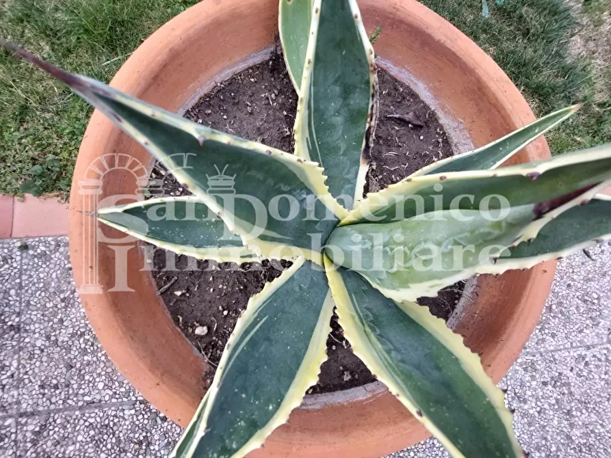 Immagine 33 di Terratetto in vendita  a Cascina