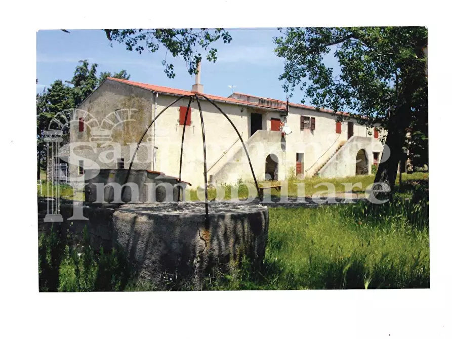 Immagine 2 di Casa colonica in vendita  a Rosignano Marittimo