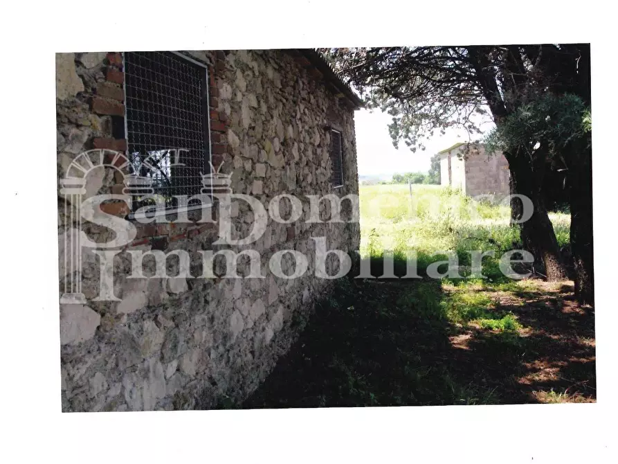 Immagine 4 di Casa colonica in vendita  a Rosignano Marittimo